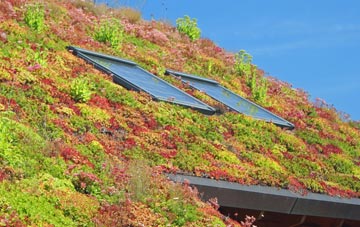 Mithian Downs living roof systems
